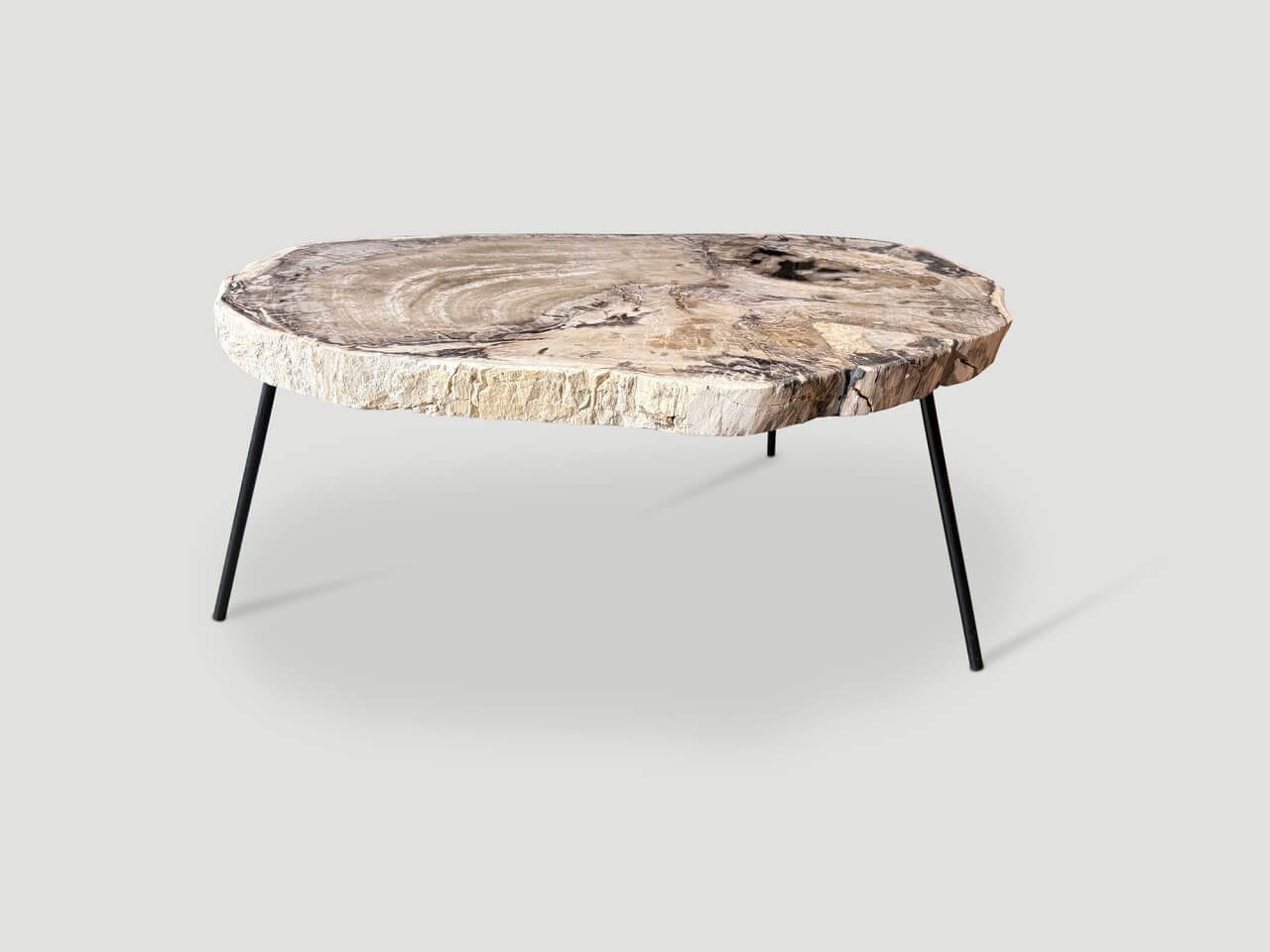 petrified wood coffee table on mid century base