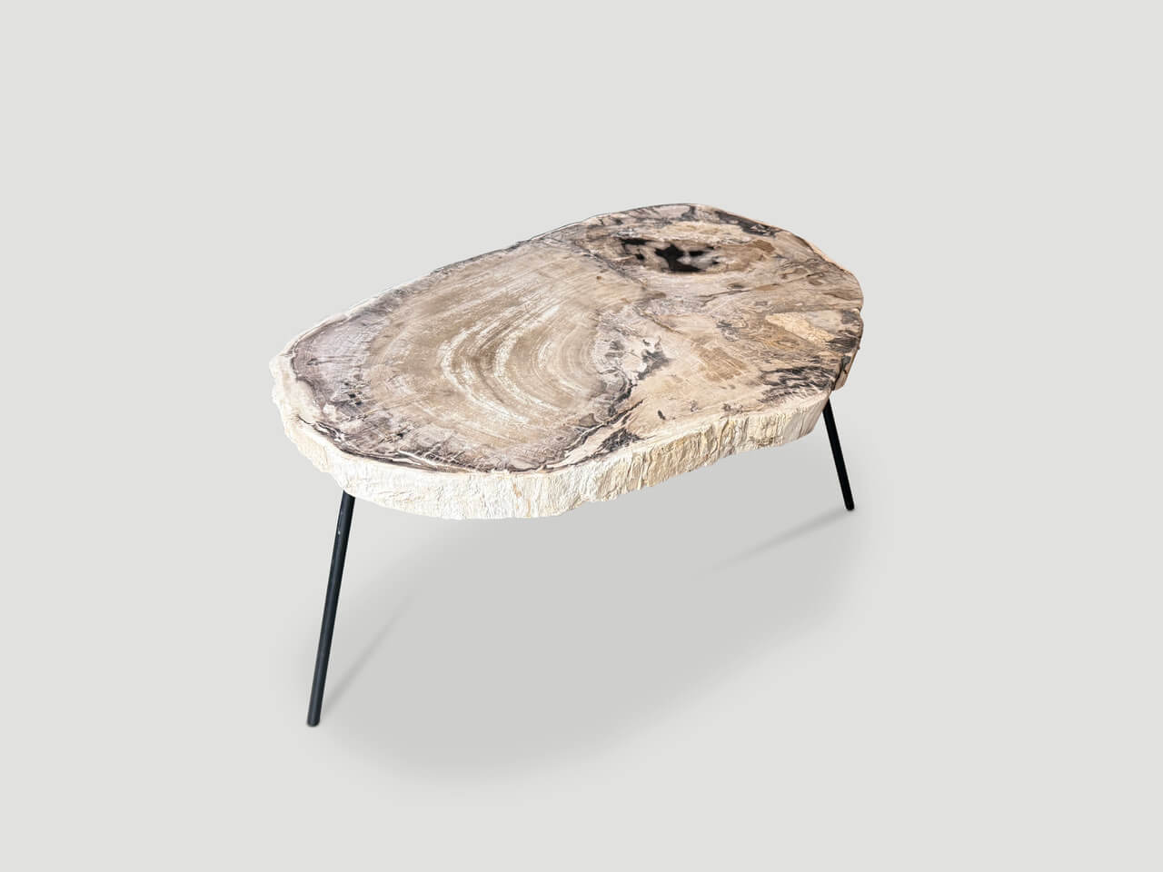 petrified wood coffee table on mid century base