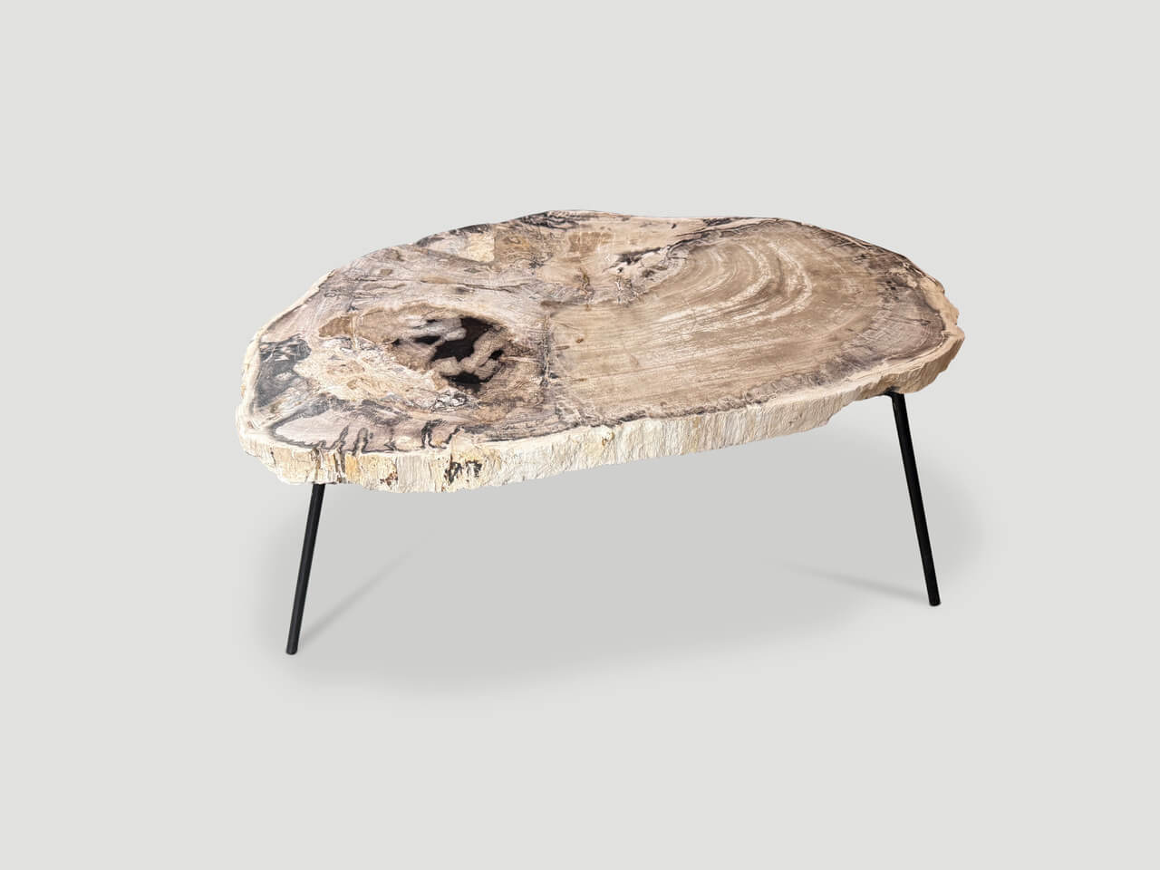 petrified wood coffee table on mid century base