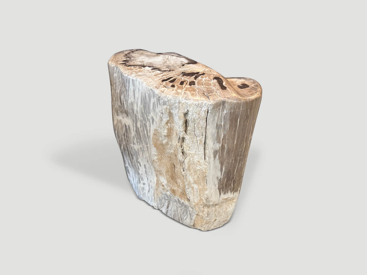 ANCIENT PETRIFIED WOOD SIDE TABLE