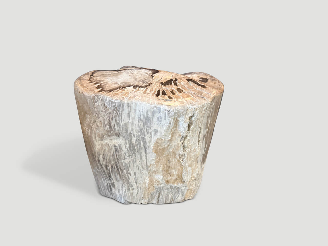 ANCIENT PETRIFIED WOOD SIDE TABLE