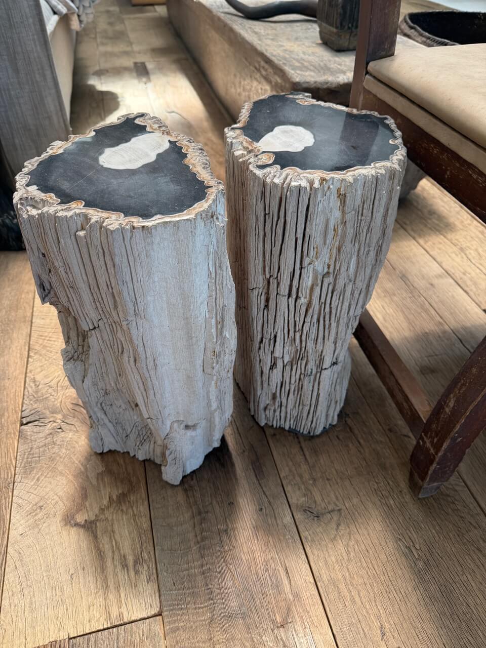 high quality petrified wood side table
