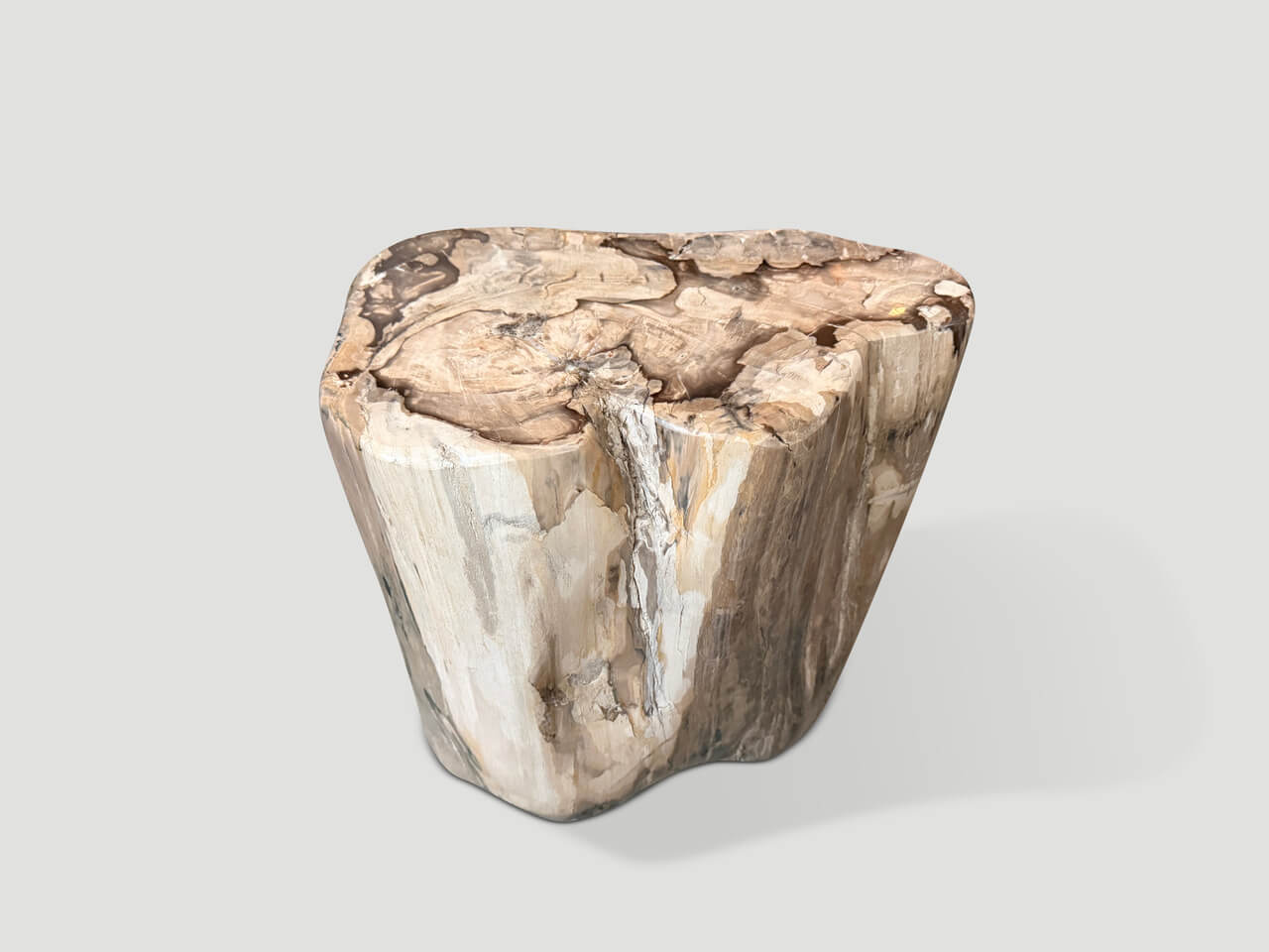petrified wood side table