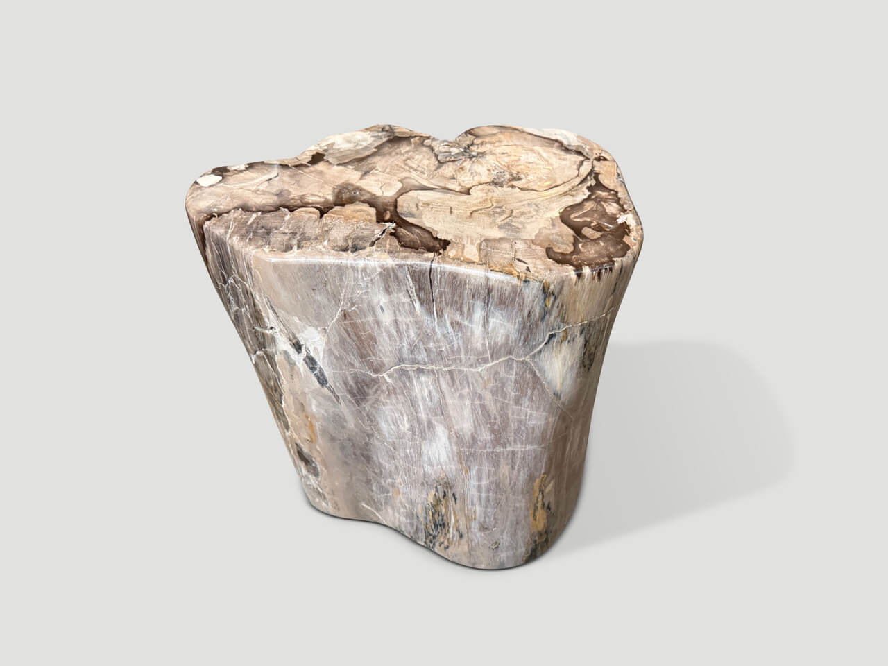 petrified wood side table