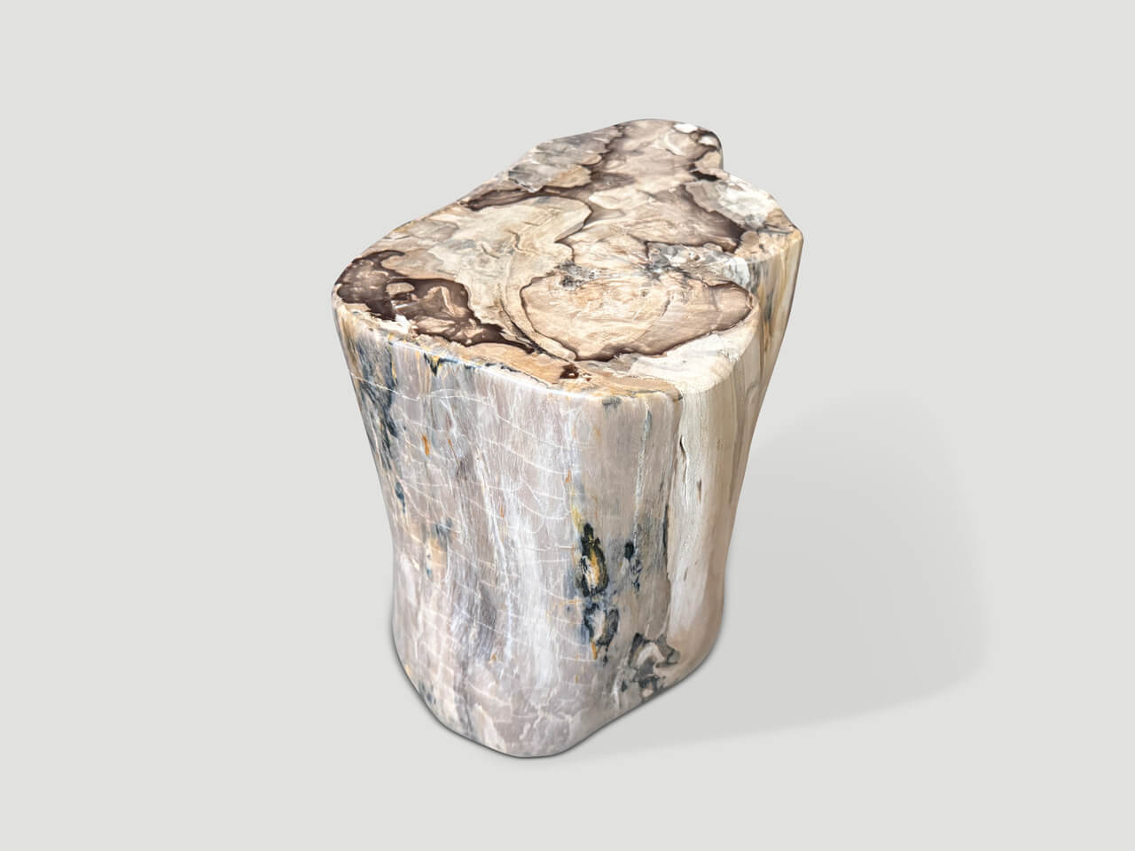 petrified wood side table