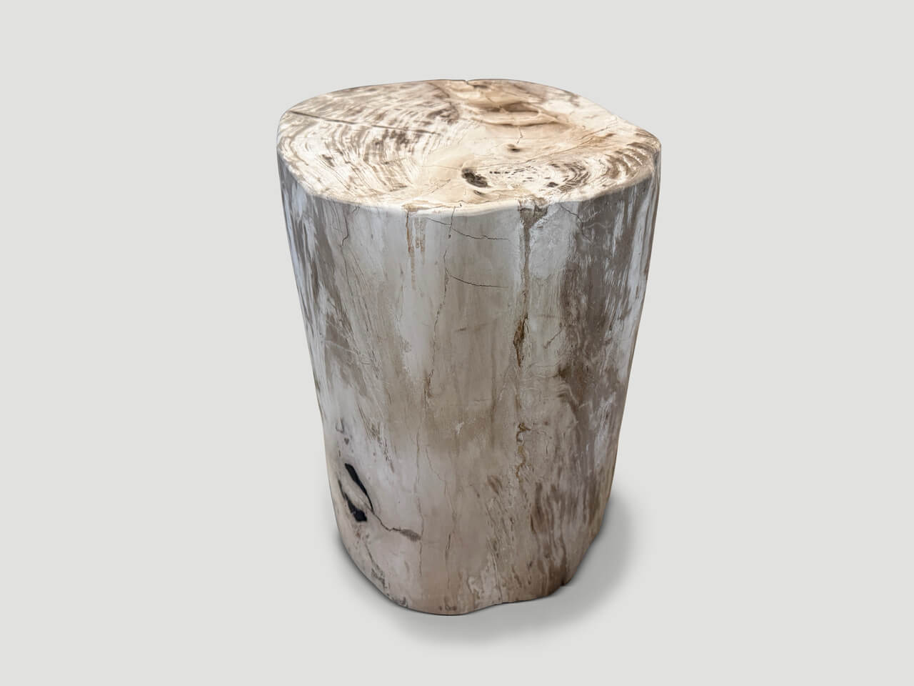 petrified wood side table