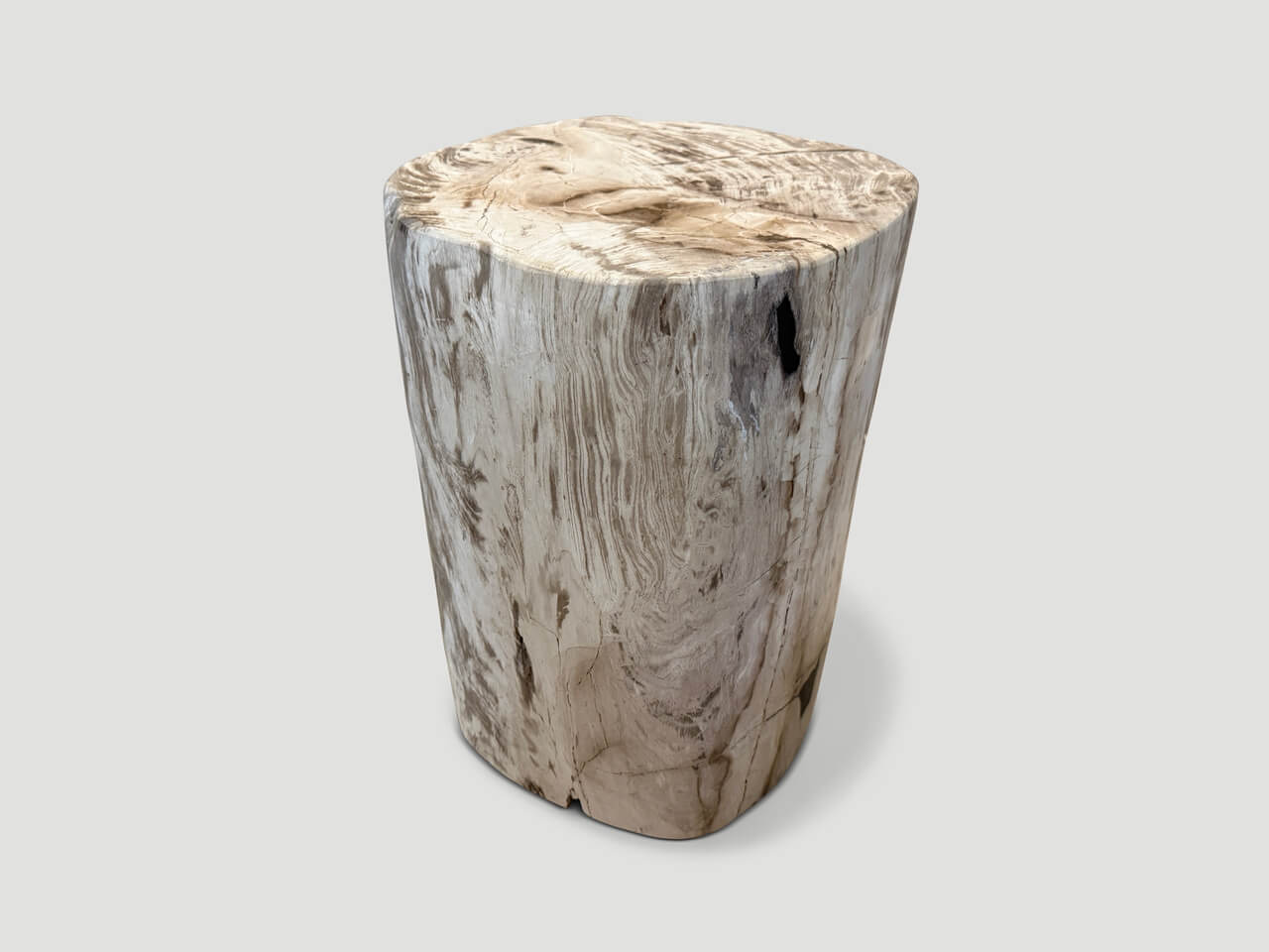 petrified wood side table