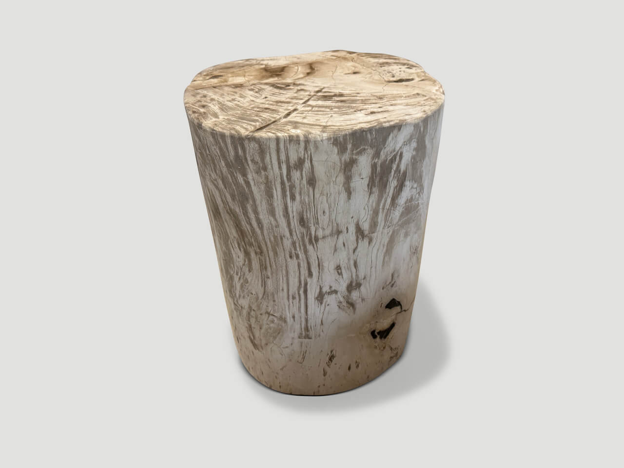 petrified wood side table