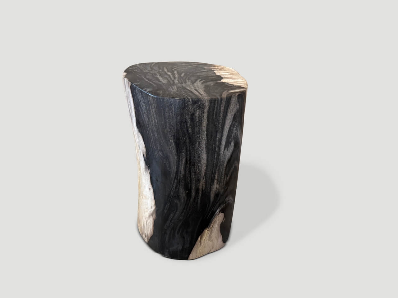 petrified wood side table