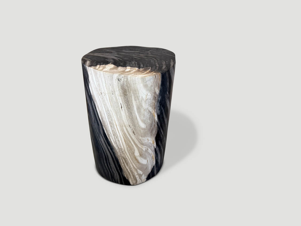 petrified wood side table