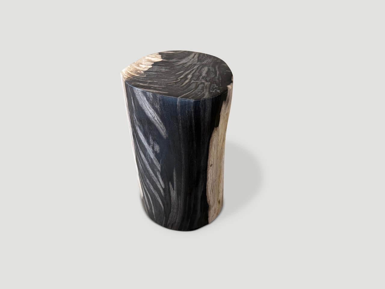 petrified wood side table