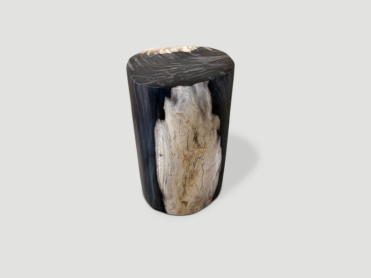 petrified wood side table