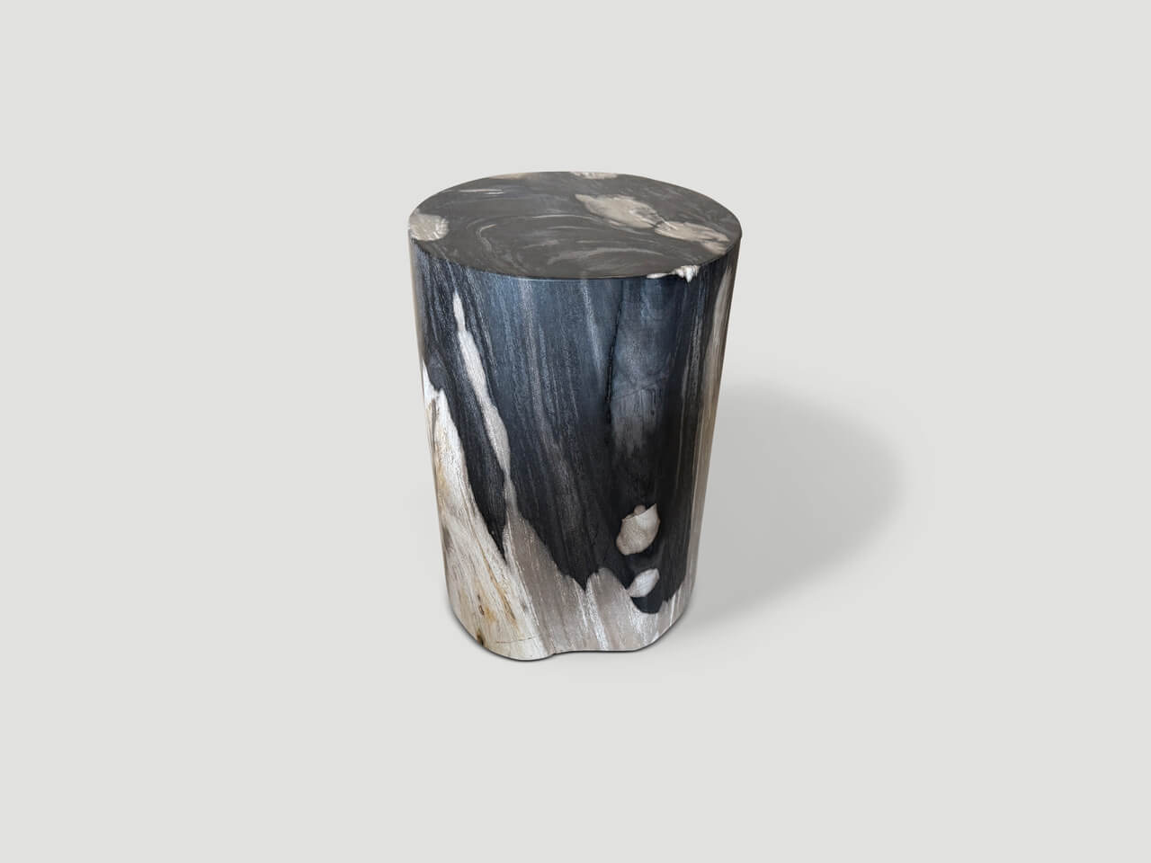 exquisite petrified wood side table