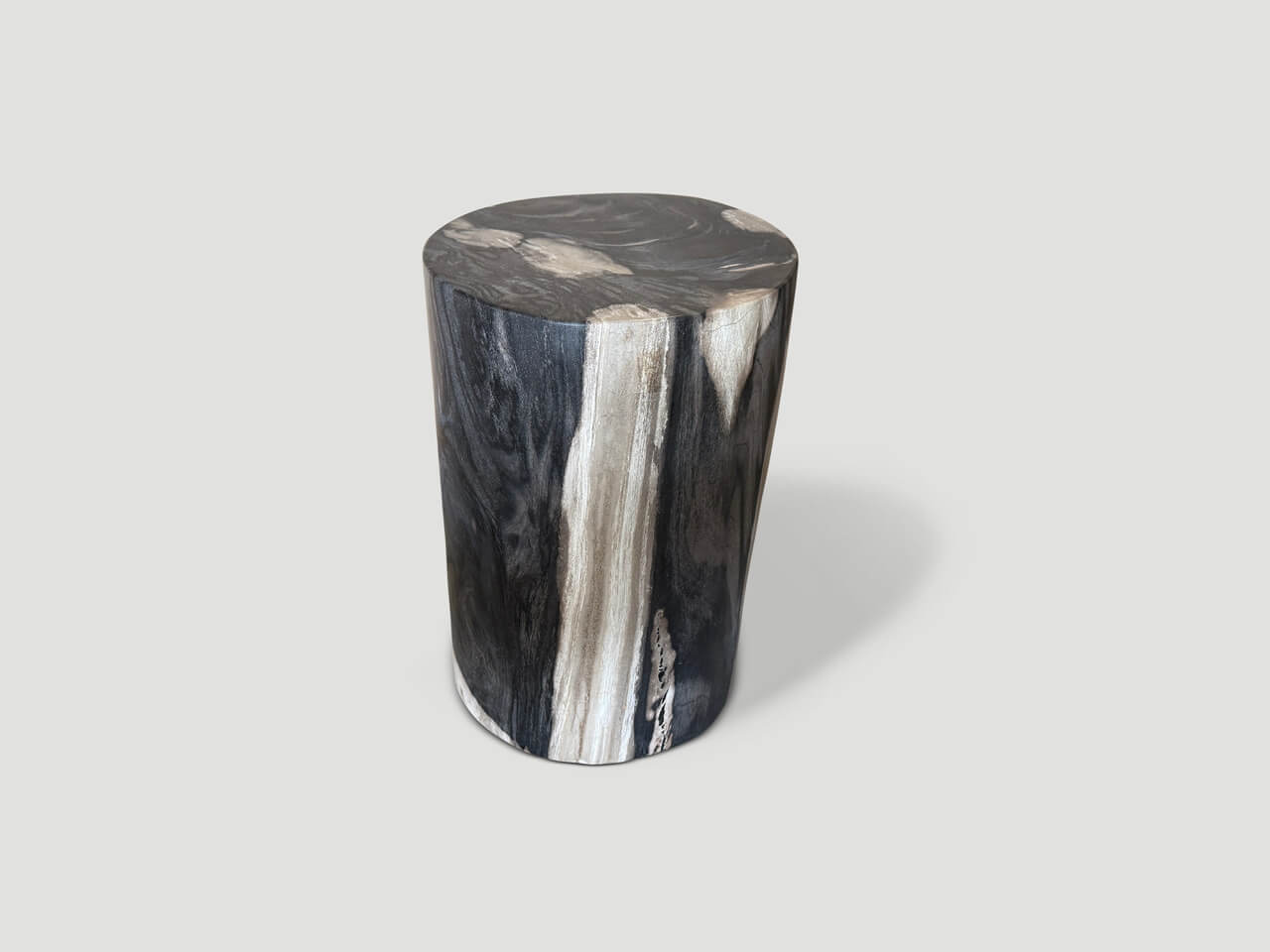 exquisite petrified wood side table