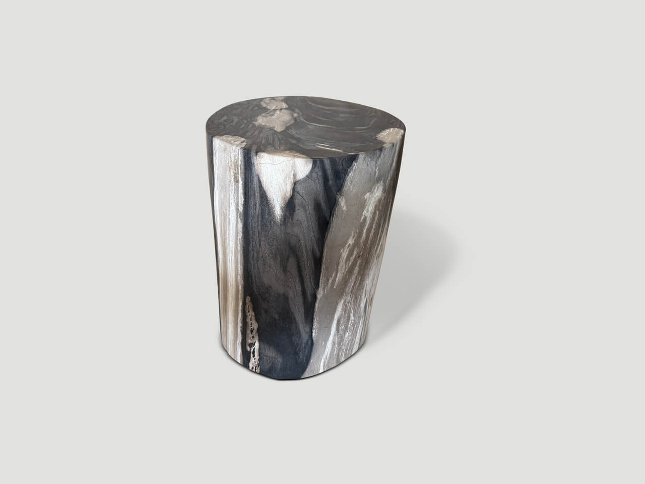 exquisite petrified wood side table