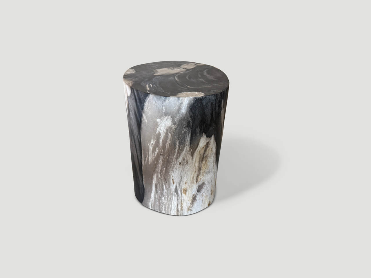 exquisite petrified wood side table