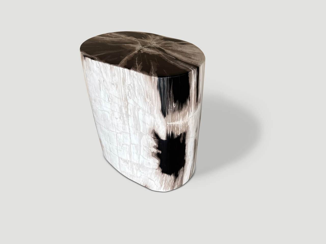 petrified wood side table
