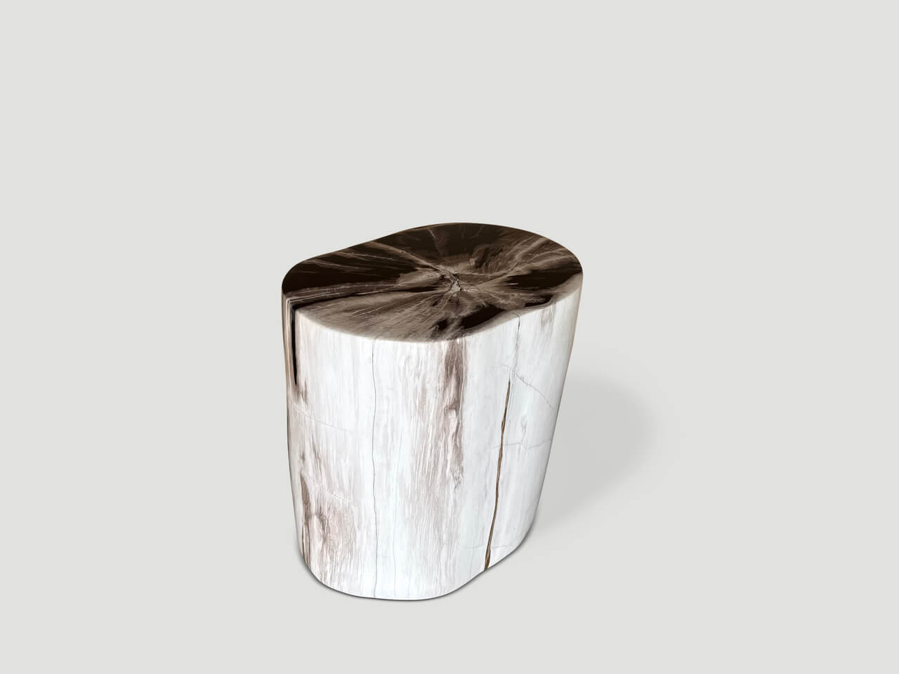 petrified wood side table