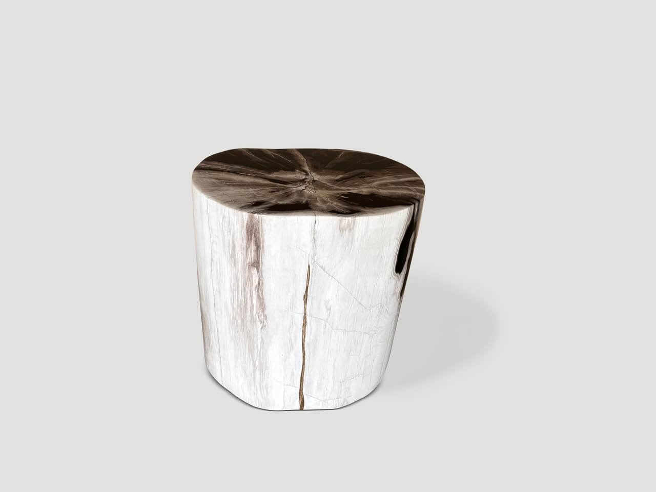 petrified wood side table