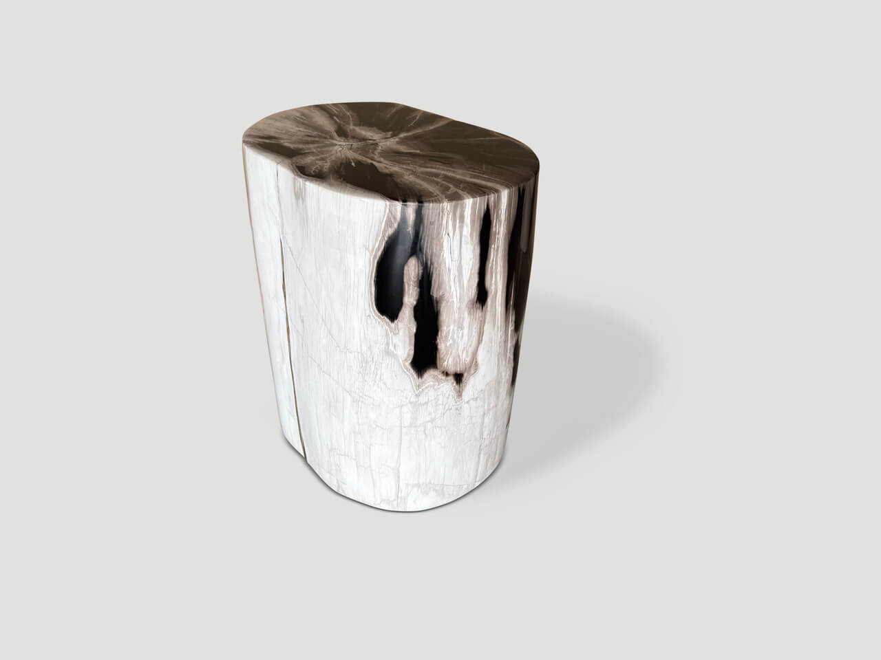 petrified wood side table