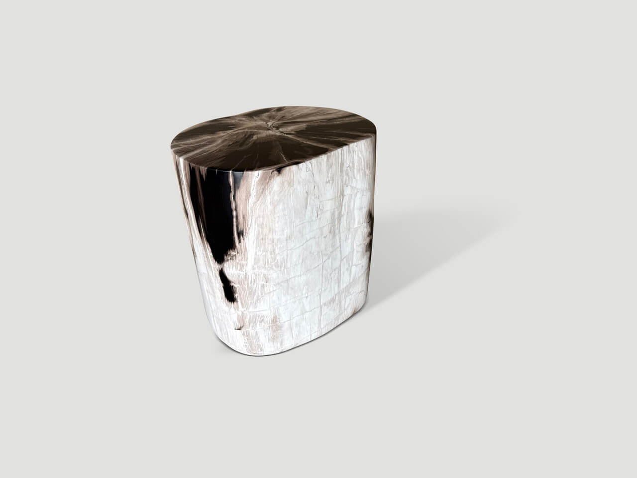 petrified wood side table