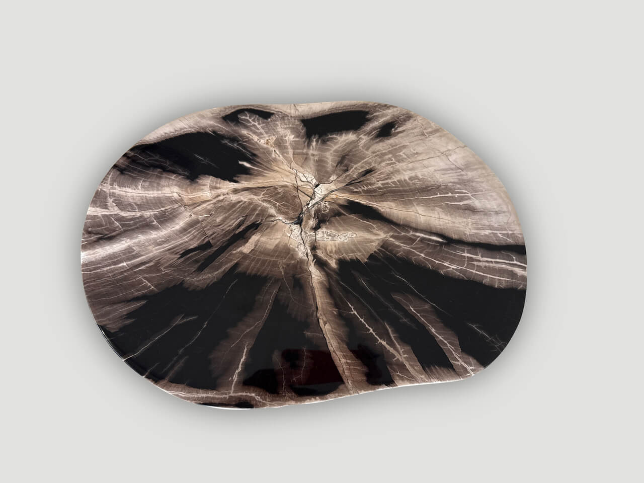 petrified wood side table