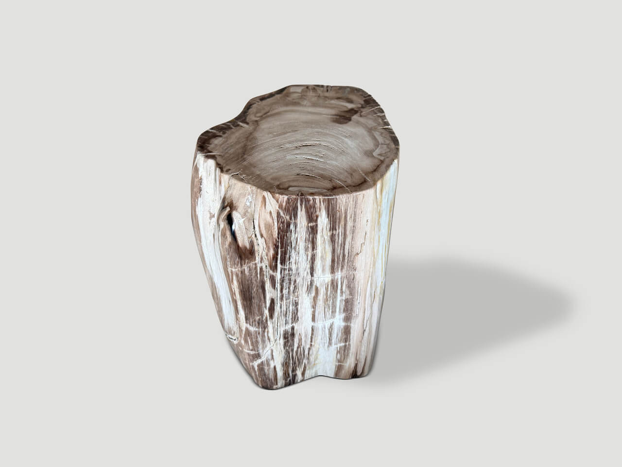 ancient petrified wood side table