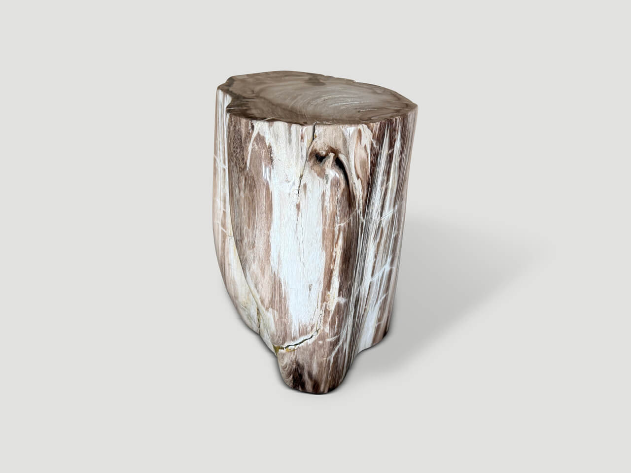 ancient petrified wood side table