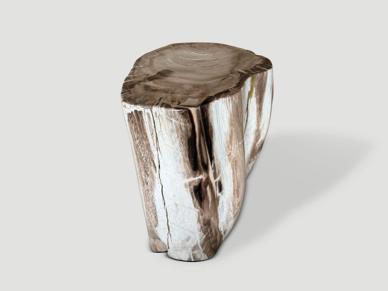 ancient petrified wood side table