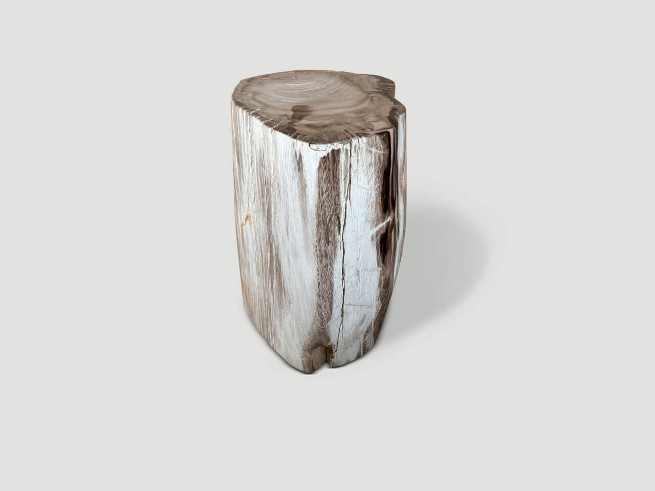 ancient petrified wood side table
