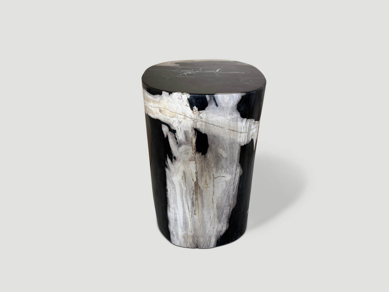 high quality petrified wood side table