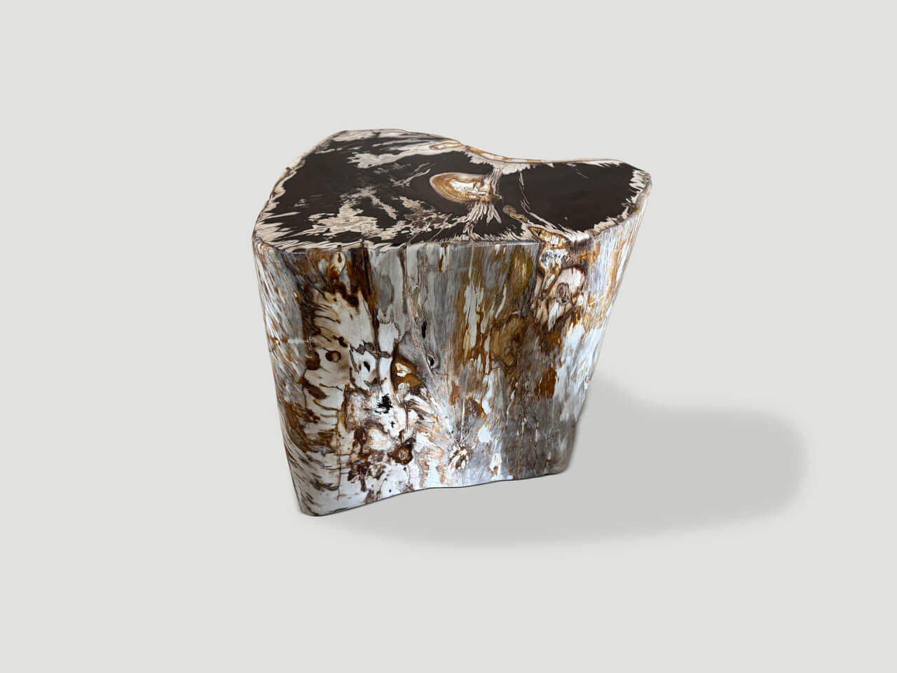 ancient petrified wood side table