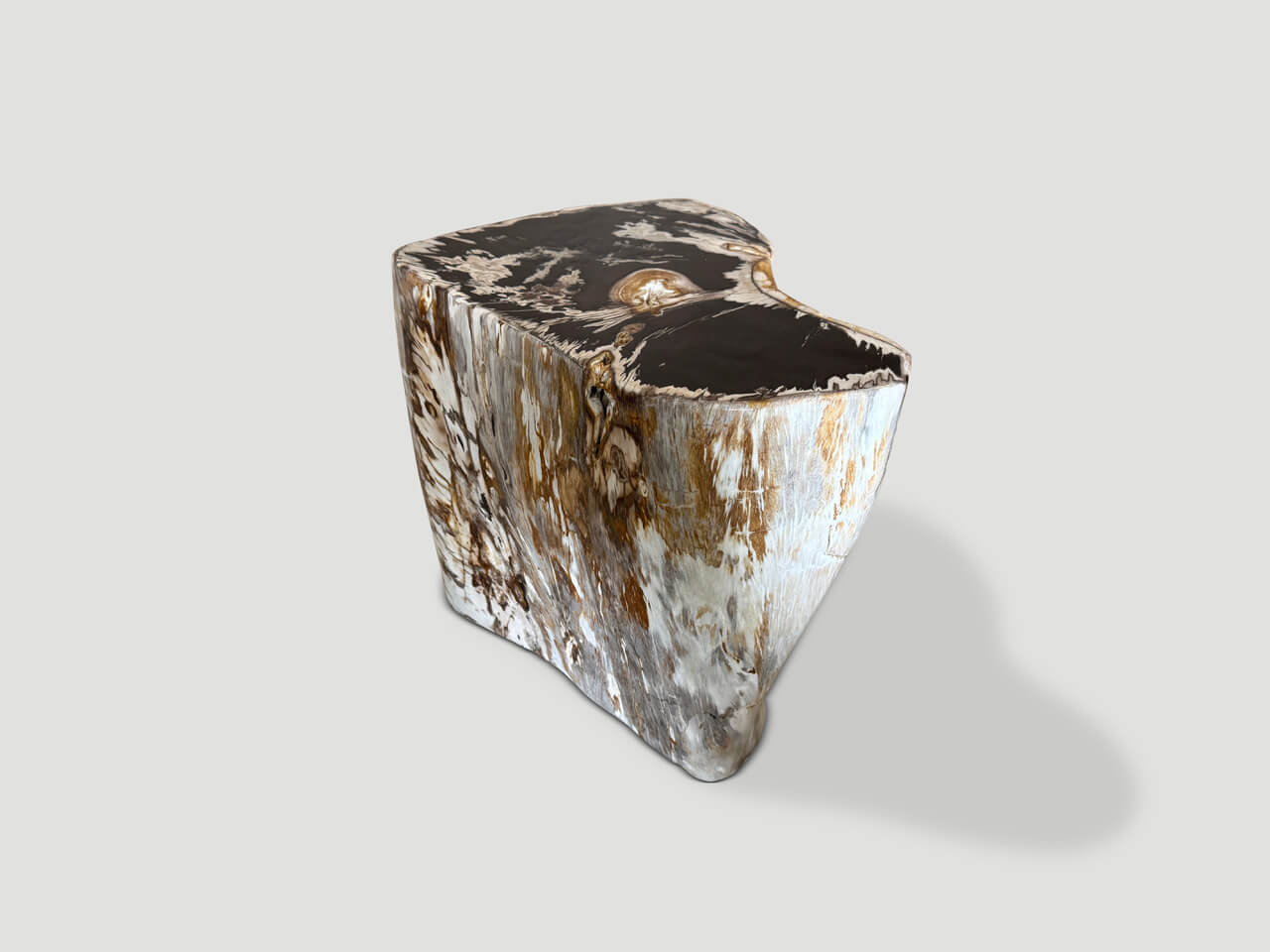 ancient petrified wood side table