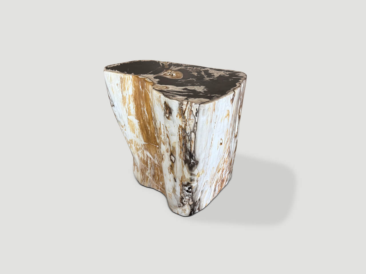 ancient petrified wood side table