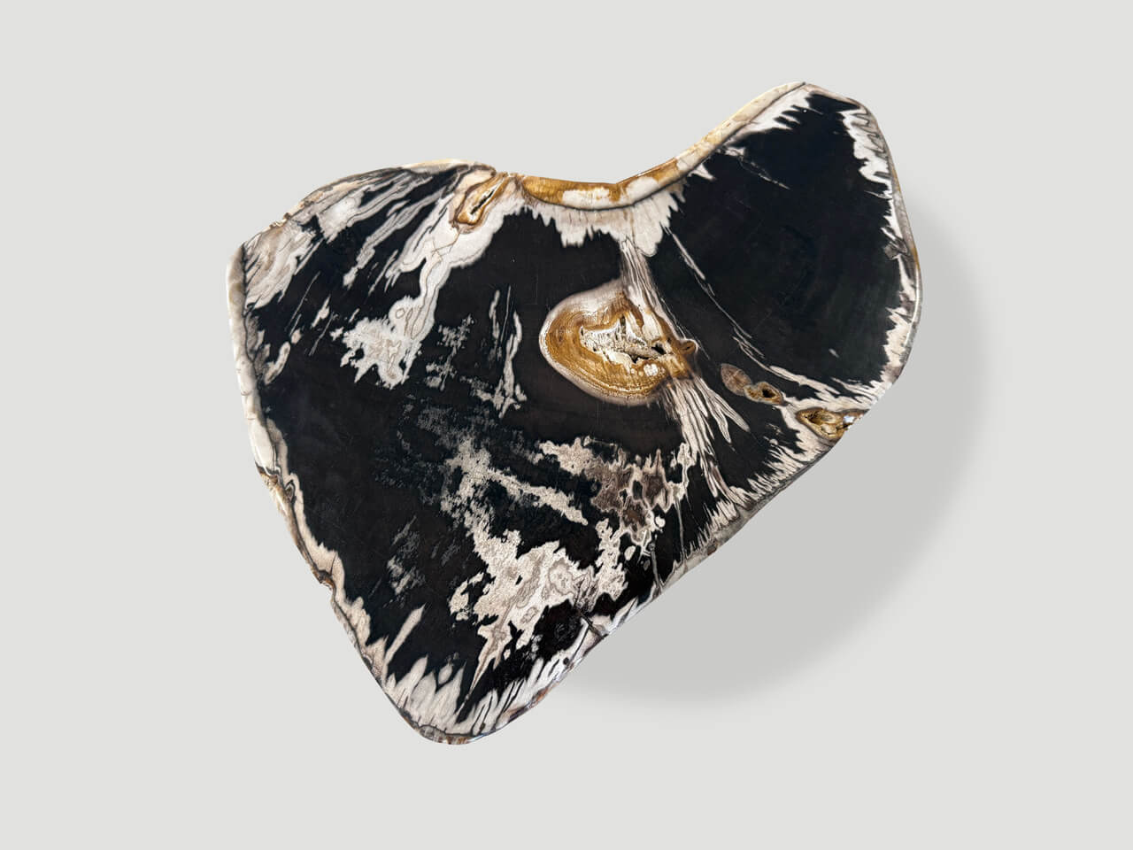 ancient petrified wood side table