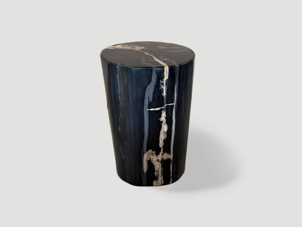 modern organic super smooth petrified wood side table