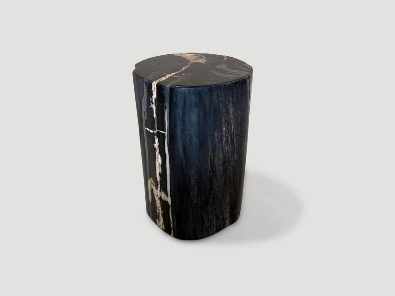 modern organic super smooth petrified wood side table