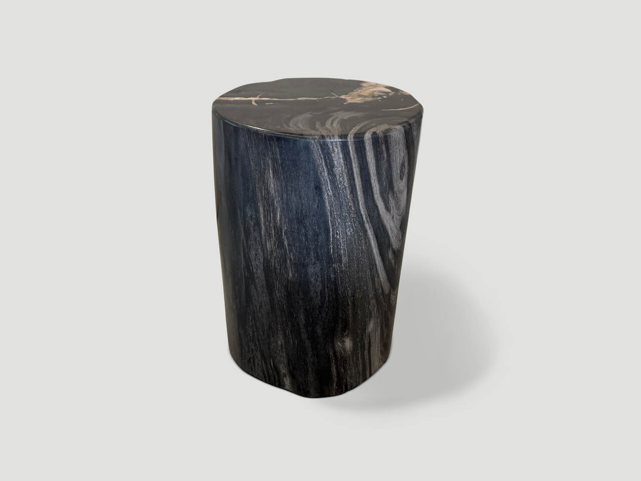 modern organic super smooth petrified wood side table