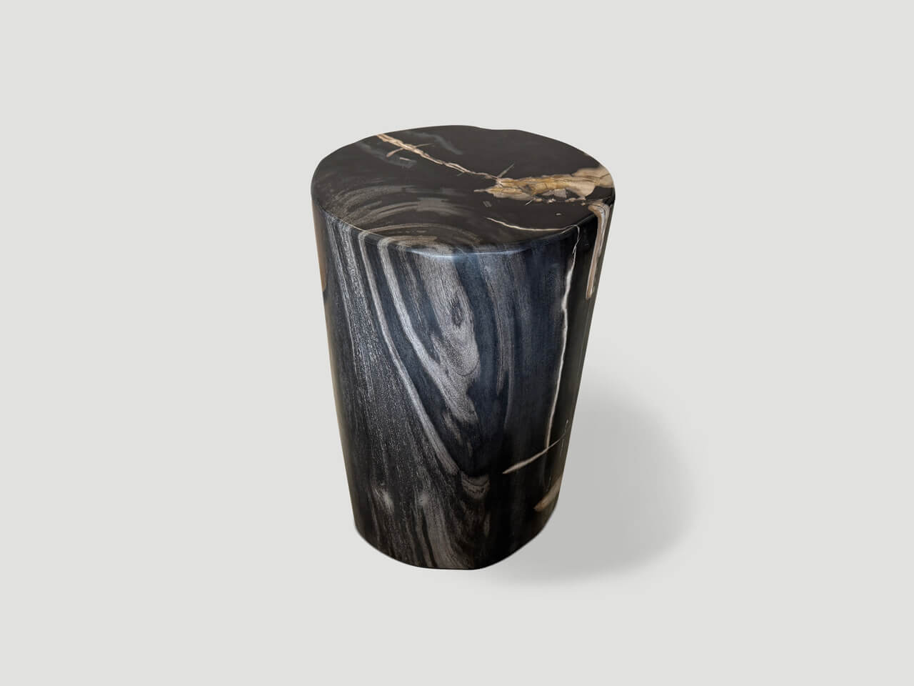 modern organic super smooth petrified wood side table