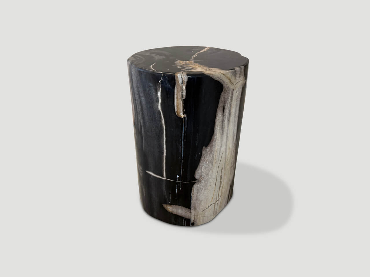 modern organic super smooth petrified wood side table