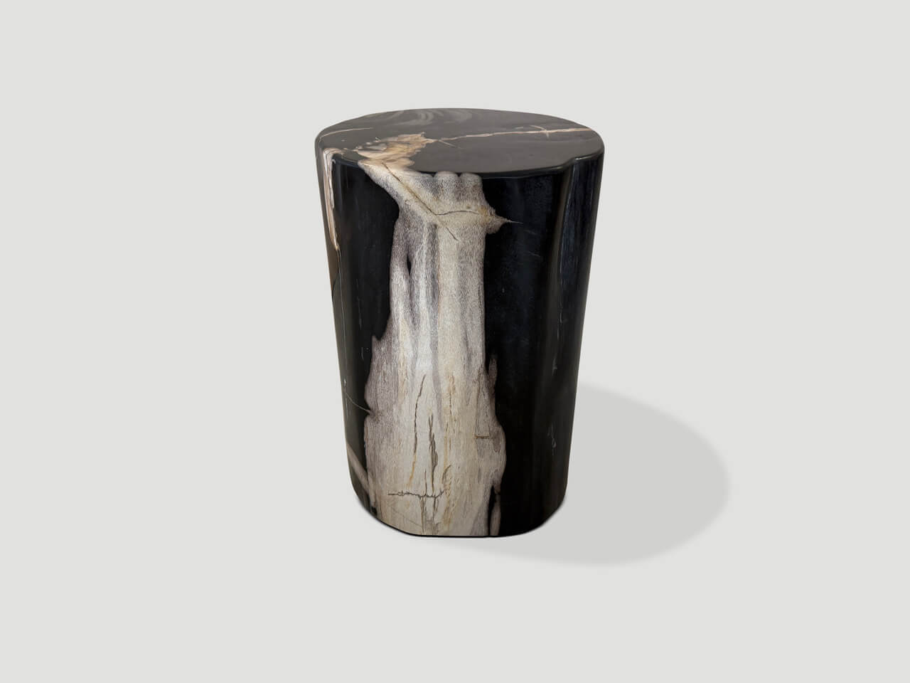 modern organic super smooth petrified wood side table