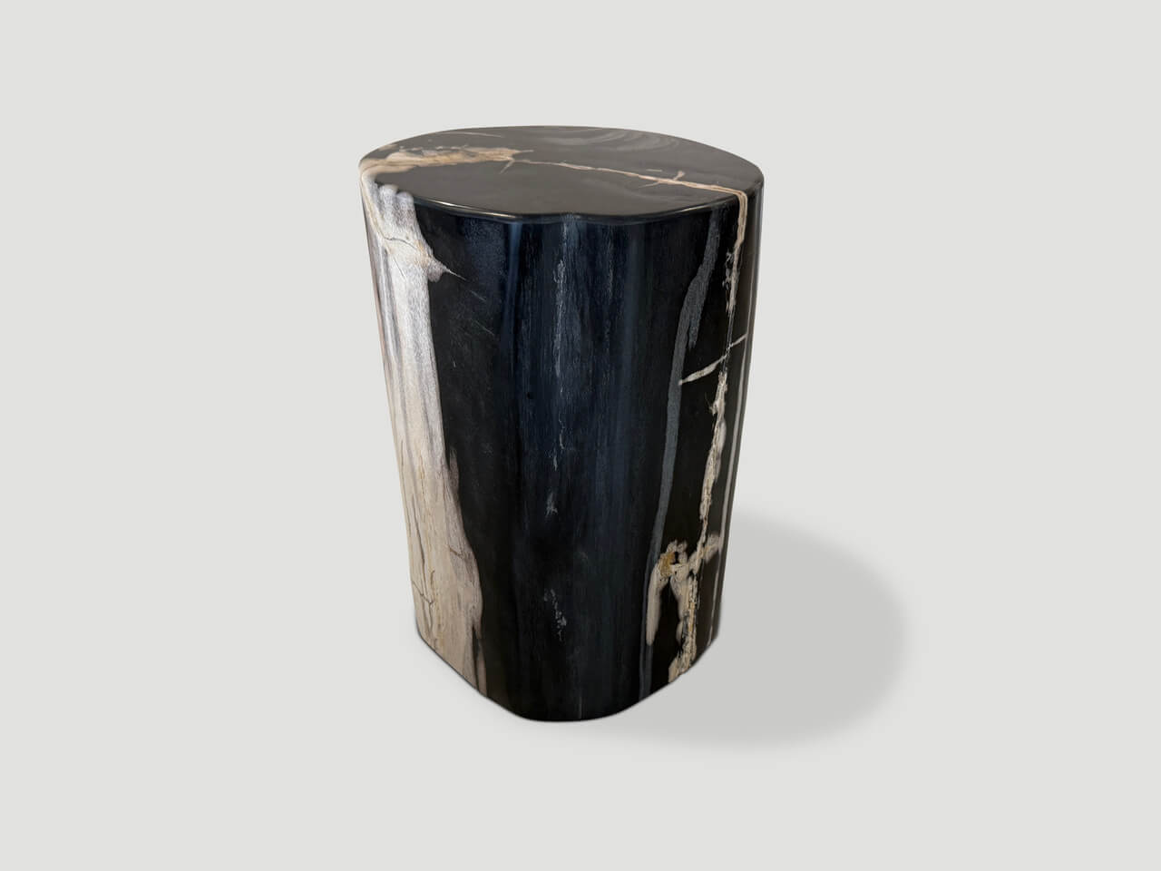 modern organic super smooth petrified wood side table