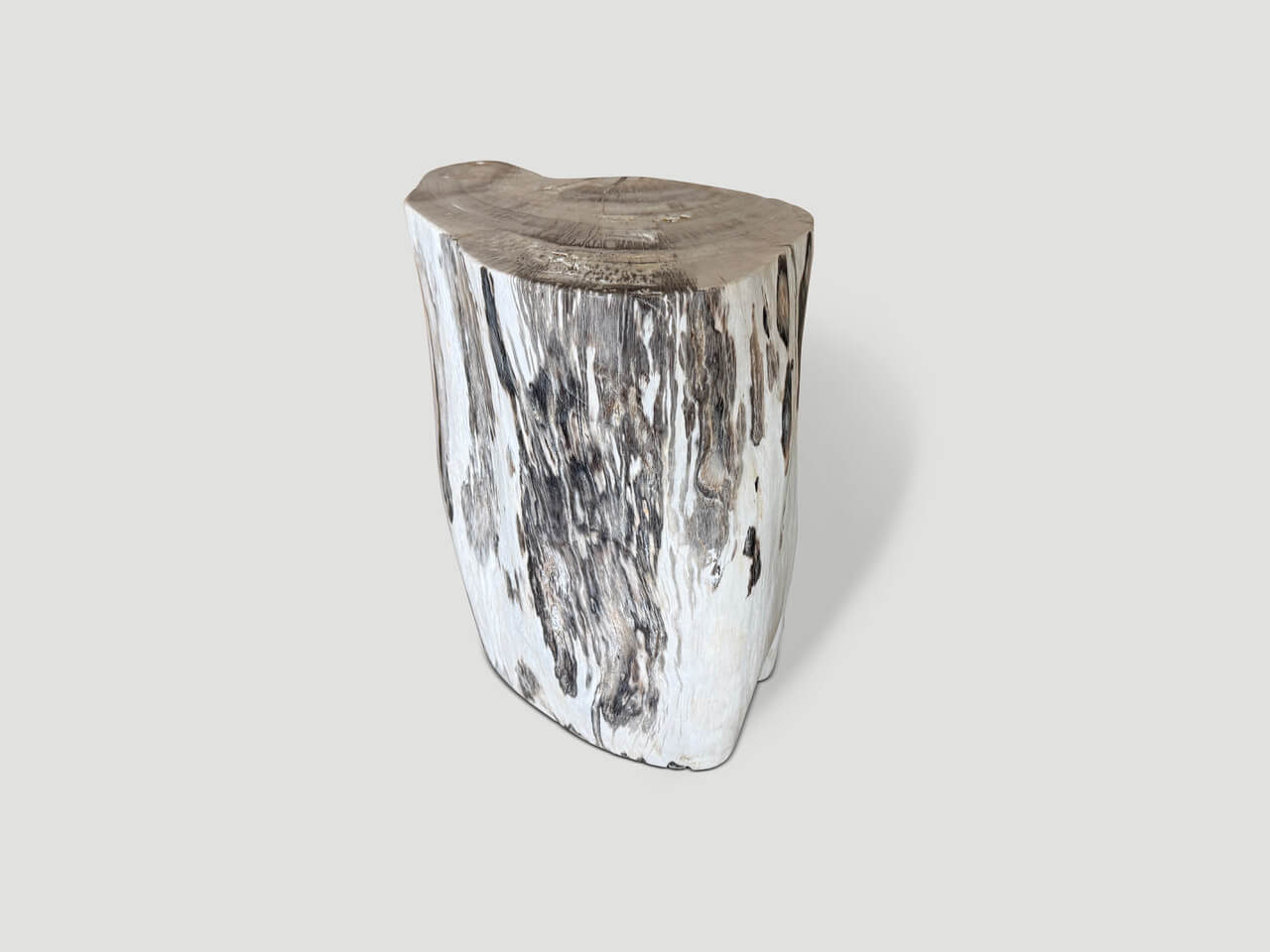 petrified wood side table