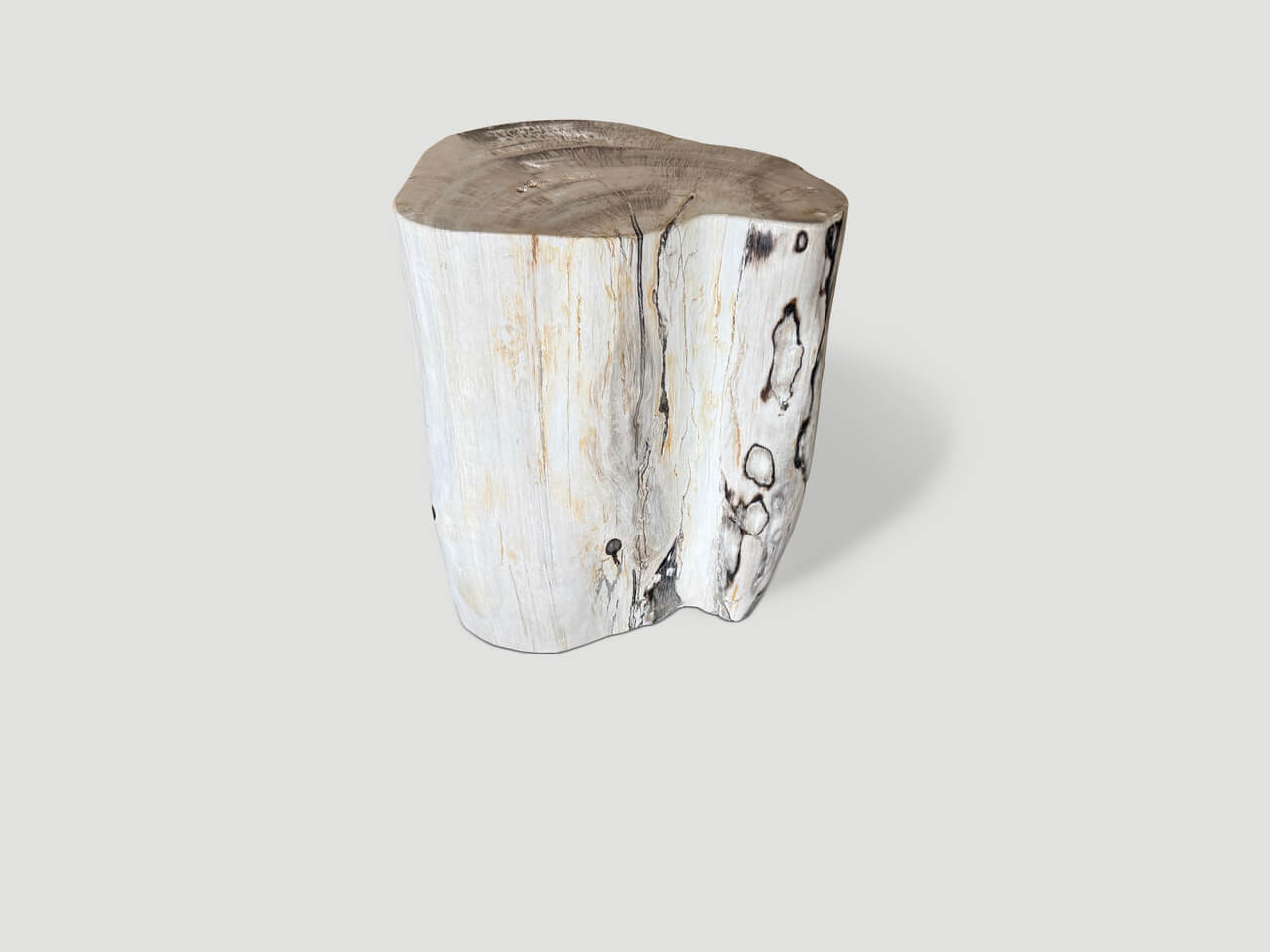 petrified wood side table