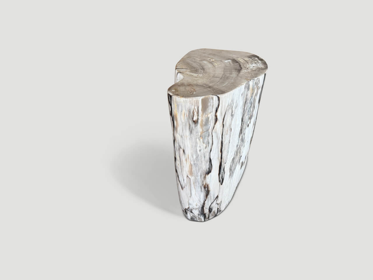 petrified wood side table