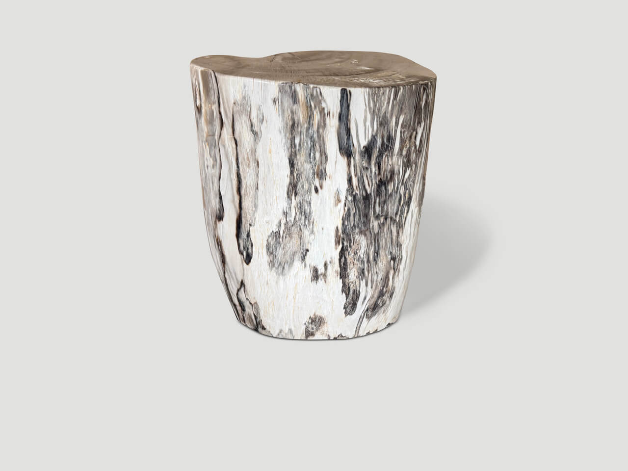 petrified wood side table