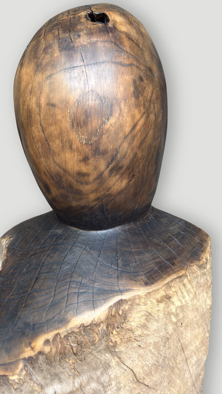 modern organic hand carved structure