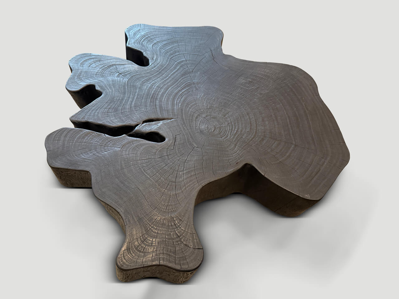 amorphous modern organic charred coffee table
