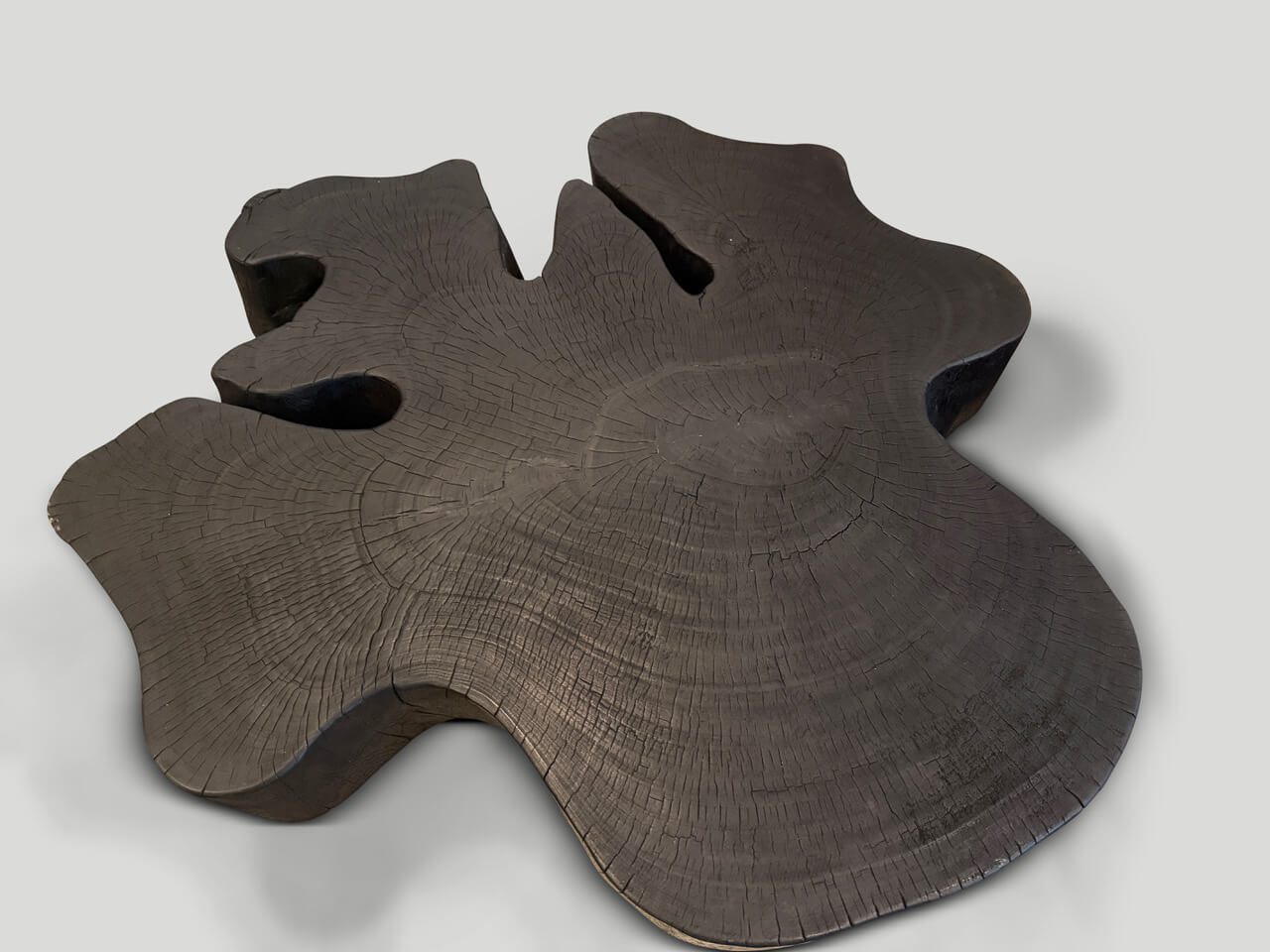 organic charred coffee table