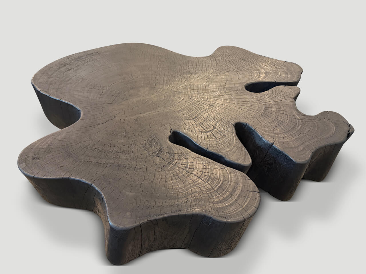 organic charred coffee table